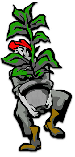 (enter myplatman.com)